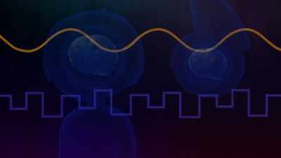 Your brain waves are in - Ballmastrz: 9009