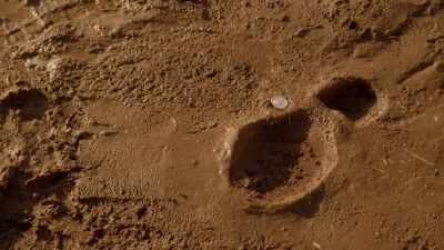 Your cellphone
has a camera, right? - Longmire