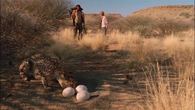 Your cheetah is a great hunter - Duma