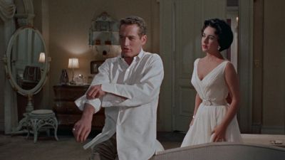 Your claws are showing - Cat on a Hot Tin Roof