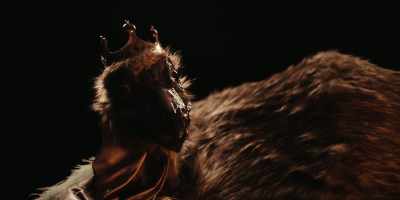Your comedy routine was excellent, - The Emu War