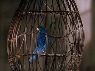 Your Daddy got up at daybreak - The Blue Bird