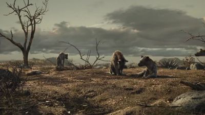 Your dinner - The Lion King