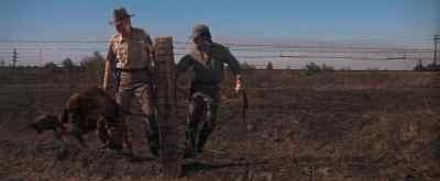 Your dogs are crazy. - Cool Hand Luke