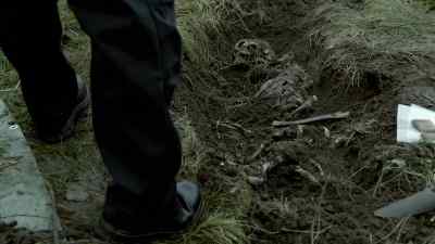 Your dog's mixed
everything up a fair bit. - Wallander
