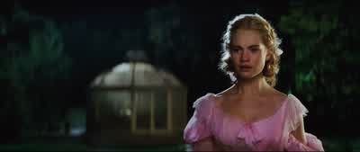 I'm your hairy dogfatherI mean fairy godmother - Cinderella