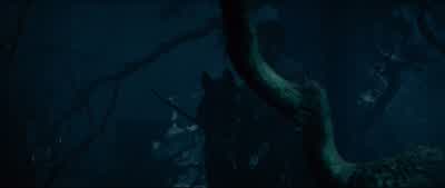 Your father is being very brave. - Into the Woods
