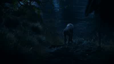 Your father is waiting. - The Lion King