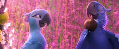 Your favorite. - Rio 2