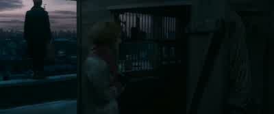 Your grandfather kept pigeons? - Fantastic Beasts and Where to Find Them
