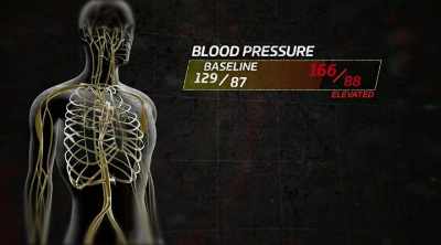 Your heart rate's definitely
faster than normal, - Kings of Pain