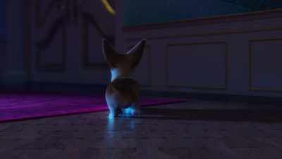 Your Holiness, we are coming. - The Queen's Corgi