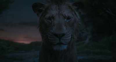 Your journey
is not a dream, Mufasa. - Mufasa: The Lion King