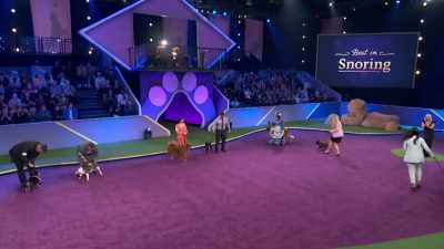 Your judge for this category
is Lisa Arturo. - 2022 American Rescue Dog Show