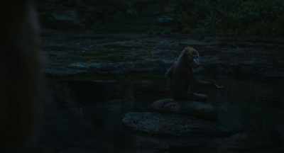 Your mother is guiding you, - Mufasa: The Lion King