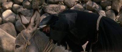 Your mule for that burro - Two Mules for Sister Sara