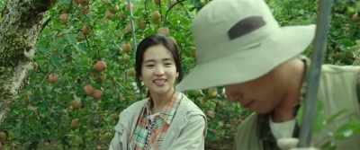 Your orchard is covered with apples. - Little Forest