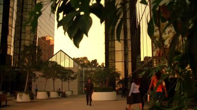 - Your phone.
- What ? - CSI: Miami