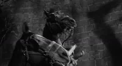 What's got into them? - Young Frankenstein