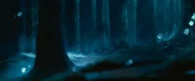 Your skills, after all, are legend.- Very well. - Harry Potter and the Chamber of Secrets