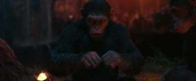 Your son's been gone, Caesar... - War for the Planet of the Apes