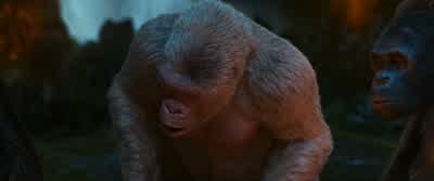 Your son's been gone, Caesar... - War for the Planet of the Apes