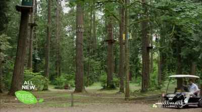 Your stay should be
fun and exciting - Nature of Love