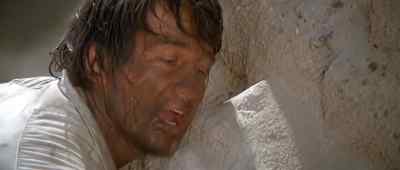 'Your... Your cat died.' - Capricorn One
