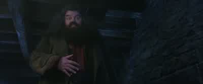 You're a bit more along than I expected.Particularly in the middle. - Harry Potter and the Philosopher's Stone