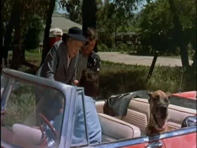 You're a dear sweet young man - Hollywood or Bust