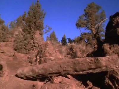 You're a genius - Homeward Bound: The Incredible Journey