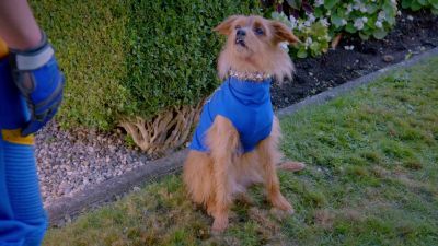 Good boy - Descendants 2