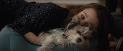 You're a good dog Molly Max - A Dog's Journey