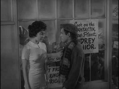 You're a nut - The Little Shop of Horrors