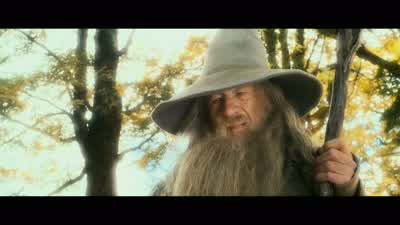 You're a very fine person Mr BagginsAnd I'm very fondOf youBut you're only quite a little fellowIn a wide world after all - The Hobbit: The Battle of the Five Armies
