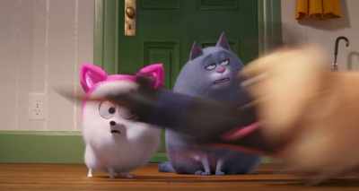 You're above that,
because you are a cat. - The Secret Life of Pets 2