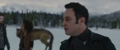 You're all fools! - The Twilight Saga: Breaking Dawn   Part 2