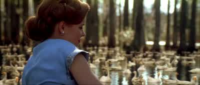 You're different. - The Notebook