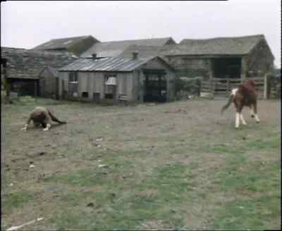 You're doing it all wrong.
You're doing it all wrong! - Last of the Summer Wine