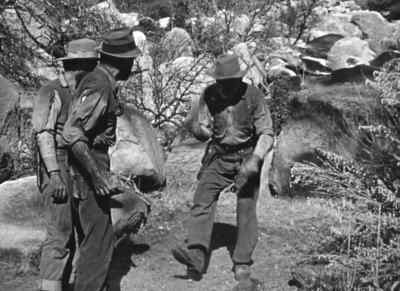 You're so dumb ... - The Treasure of the Sierra Madre