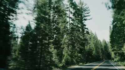 You're fascinated by, like,
how lush it is, right? - Missing 411: The Hunted