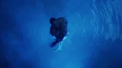 You're fucking crazy. - Euphoria