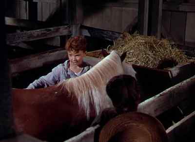 You're gonna brush
the hide right off him. - The Red Pony