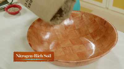 You're gonna fill it midway
with nitrogen-rich soil. - At Home with Amy Sedaris