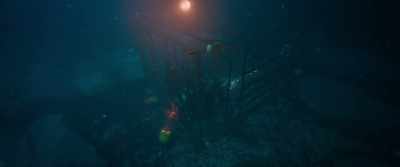 You're hallu... nating. - 47 Meters Down