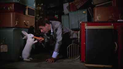 You're hungry, aren't you, Harry? - The Geisha Boy