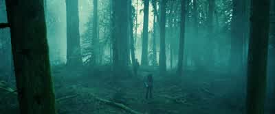 You're impossibly fast and strongYour skin is pale white and ice coldYour eyes change colorAnd sometimes you speak like you re from a different timeYou never eat or drink anythingYou don't go out in the sunlightBELLA GASPS QUIETLYHow old are - Twilight