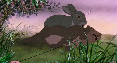 You're in a snare - Watership Down