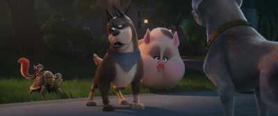 You're just trying
to use us now, - DC League of Super Pets