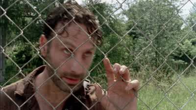 You're looking for them. - The Walking Dead
